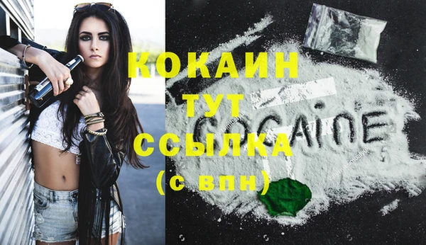 MESCALINE Бородино